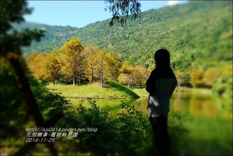 2014-11-葛莉絲莊園12.jpg 2014-11-葛莉絲莊園12.jpg