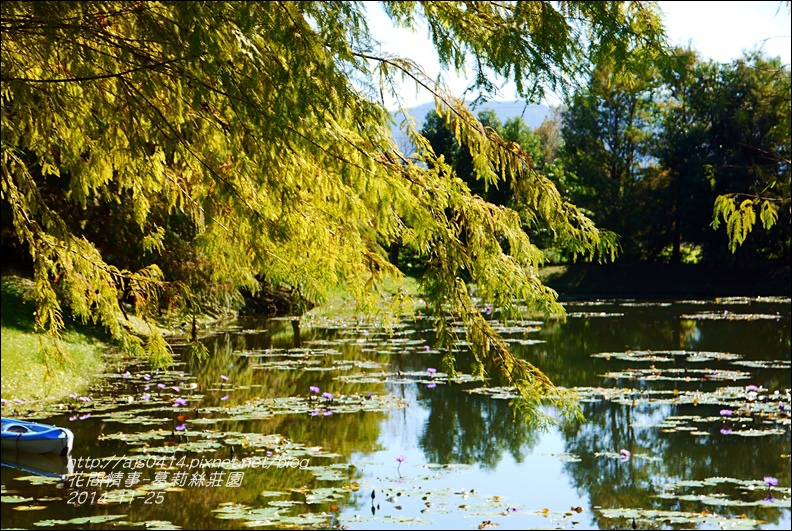2014-11-葛莉絲莊園15.jpg 2014-11-葛莉絲莊園15.jpg