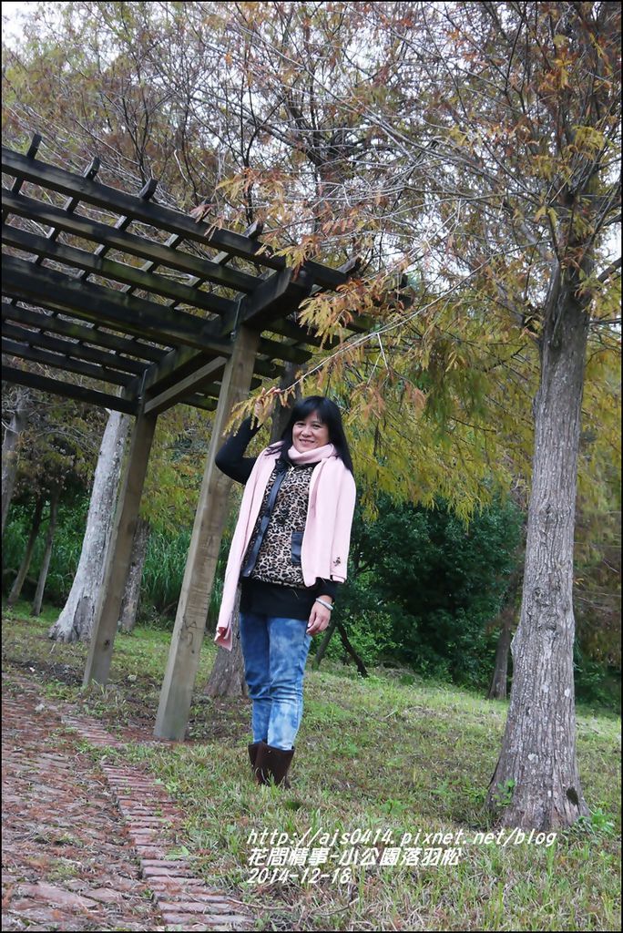 2014-12-獅子公園落羽松17.jpg 2014-12-獅子公園落羽松17.jpg