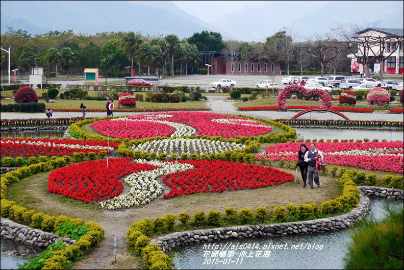2015-01-池上花海9.jpg