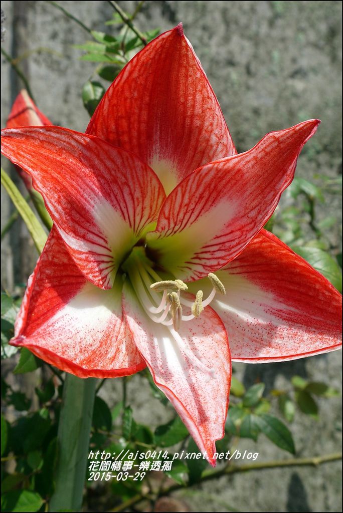 2015-04-樂透孤4.jpg 2015-04-樂透孤4.jpg