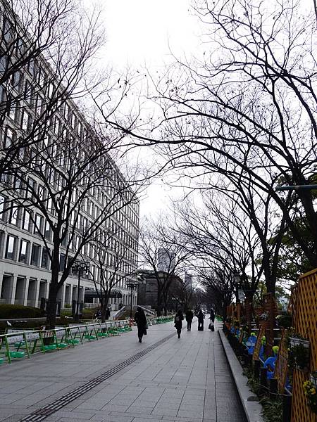 _DSC0385 _DSC0385