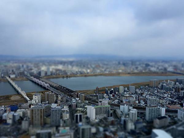 _DSC0436 _DSC0436