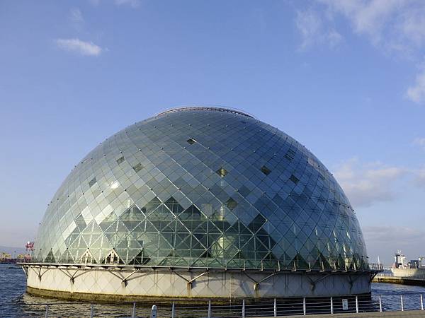 _DSC0486