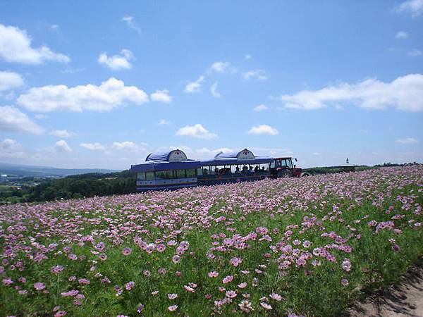DSC03713
