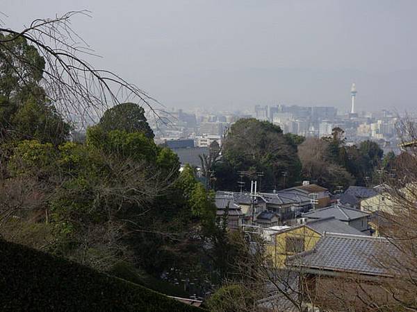 _DSC0550 _DSC0550