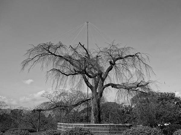 _DSC0641