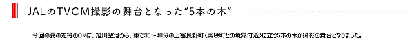 JAL欄 JAL欄