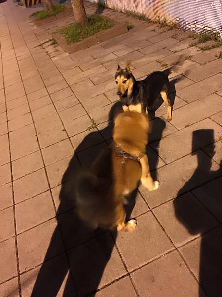 10384376_10205381800002348_8375451134779478259_n