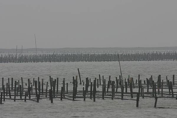 IMG_83022012