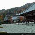 120173嵐山天龍寺 (57).JPG