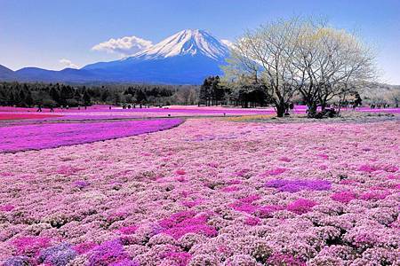 Mount-Fuji-Japan.jpg