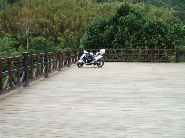 蓬萊溪露營的平台 蓬萊溪露營的平台