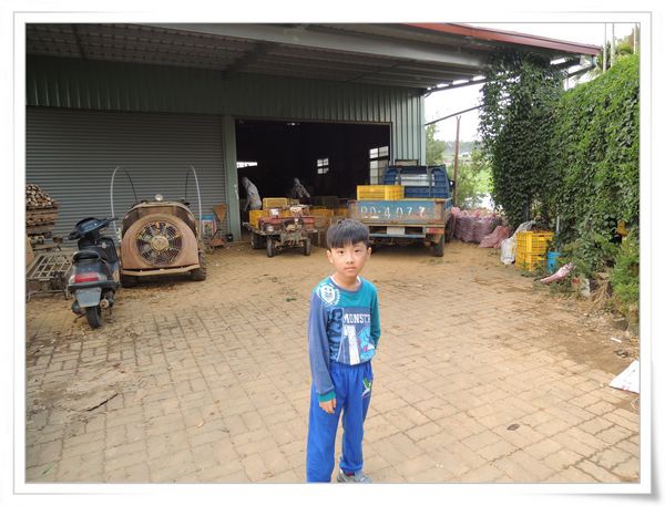 綠野仙蹤休閒廣場_大坪頂百香果[南投埔里]7