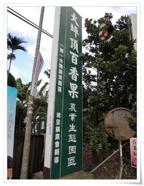 綠野仙蹤休閒廣場_大坪頂百香果[南投埔里]11