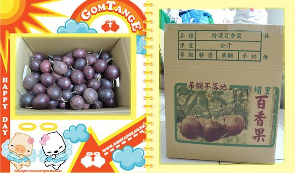 綠野仙蹤休閒廣場_大坪頂百香果[南投埔里]12