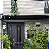 DSC03915.JPG DSC03915.JPG