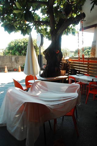 DSC_2882 [640x480].JPG