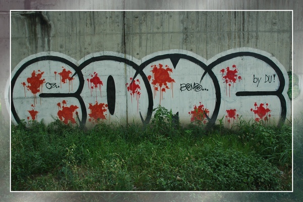 DSC_6225.jpg DSC_6225.jpg