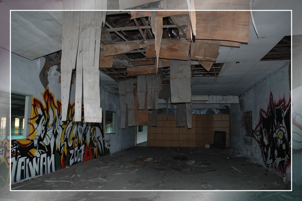 DSC_6286.jpg DSC_6286.jpg