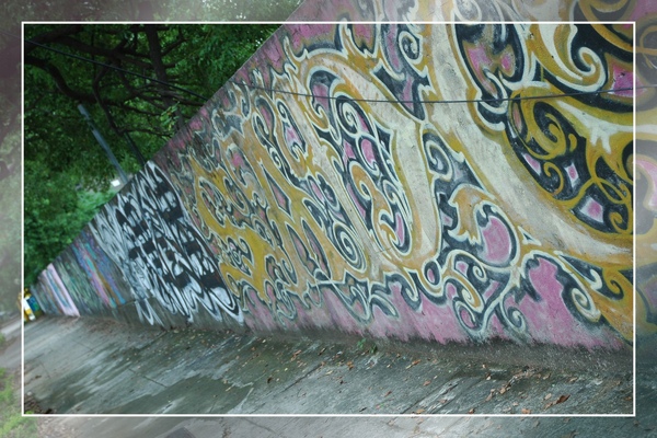 DSC_6306.jpg DSC_6306.jpg