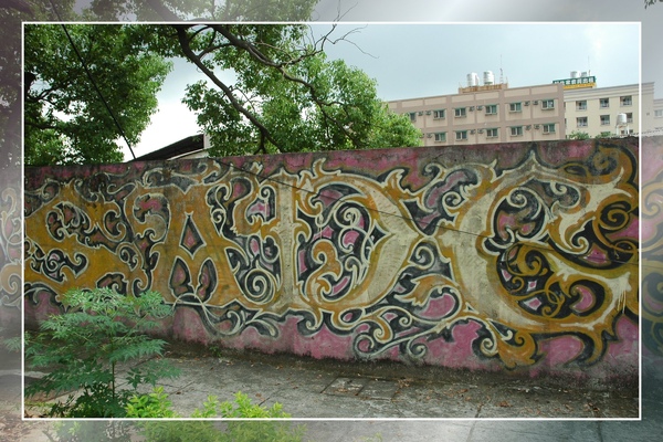 DSC_6307.jpg DSC_6307.jpg