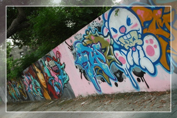 DSC_6312.jpg DSC_6312.jpg