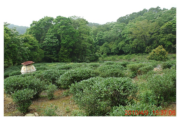 2010 0409 048.jpg 2010 0409 048.jpg