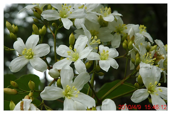 2010 0409 053.jpg 2010 0409 053.jpg