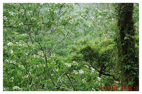 2010 0409 061.jpg 2010 0409 061.jpg