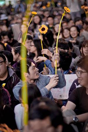 DSC_34738-1.jpg DSC_34738-1.jpg