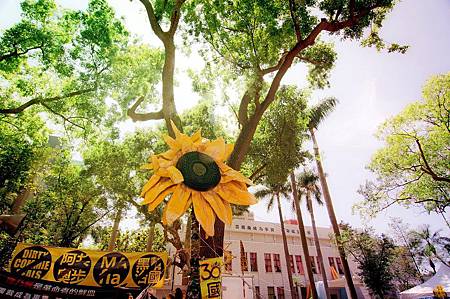 DST_27931-1(001).jpg DST_27931-1(001).jpg