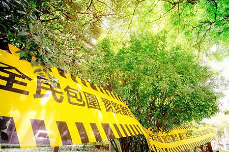 DST_27949-1(001).jpg DST_27949-1(001).jpg