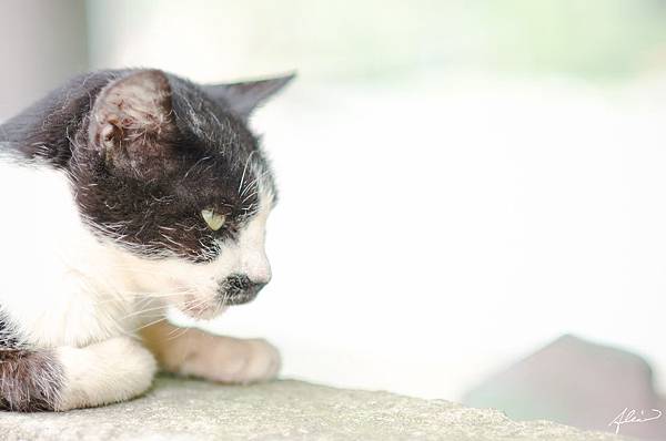 DST_30403-1.jpg DST_30403-1.jpg