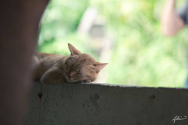 DST_30397-1.jpg DST_30397-1.jpg