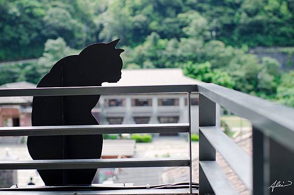 DST_30358-1.jpg DST_30358-1.jpg