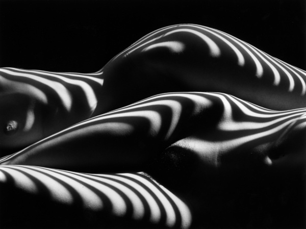 lucien-clergue-Nus zébrés.jpg lucien-clergue-Nus zébrés.jpg