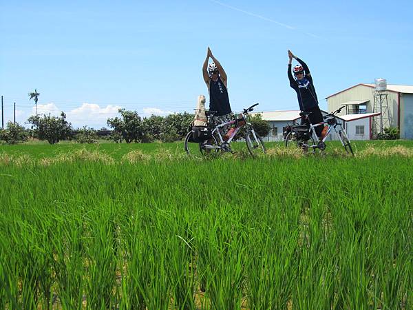 IMG_2919.JPG IMG_2919.JPG