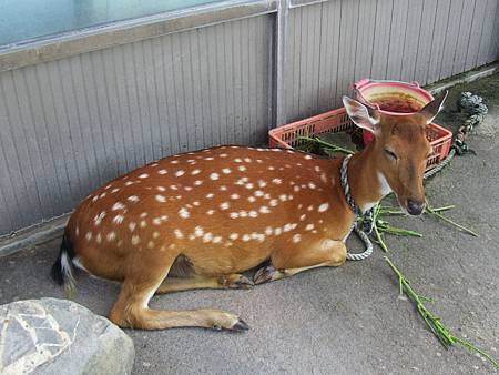 IMG_2944.JPG IMG_2944.JPG