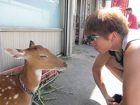 IMG_2948.JPG IMG_2948.JPG