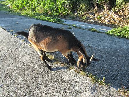 IMG_2986.JPG IMG_2986.JPG