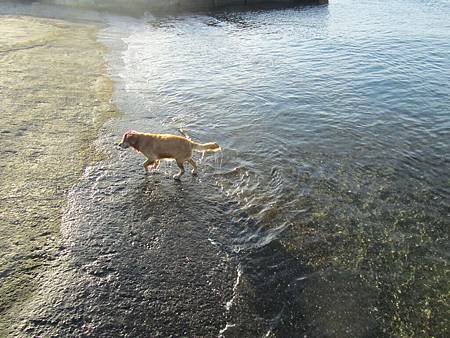 IMG_2993.JPG IMG_2993.JPG