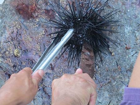 IMG_2998.JPG IMG_2998.JPG