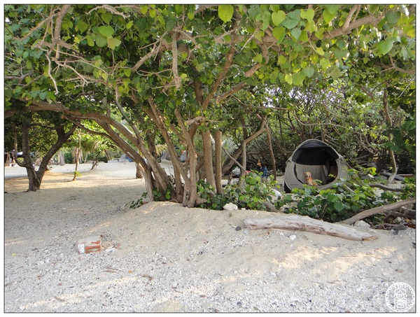 DSC01071.jpg DSC01071.jpg