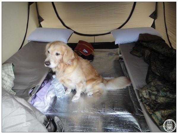 DSC01205.jpg DSC01205.jpg