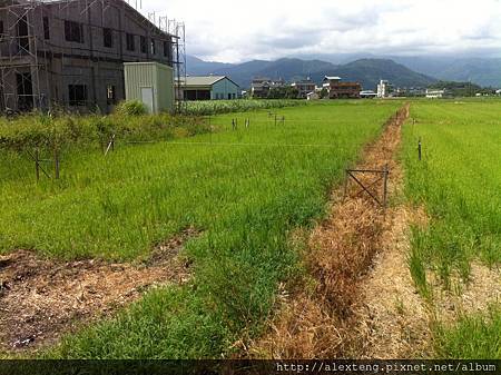 LV Construction I (13)