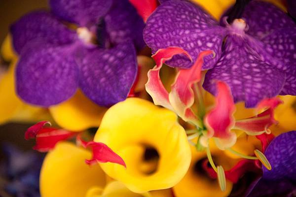 Alvin&Alice_wedding day_1028_網路用-12 Alvin&Alice_wedding day_1028_網路用-12