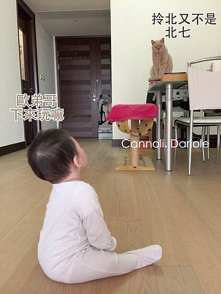 10.jpg 10.jpg
