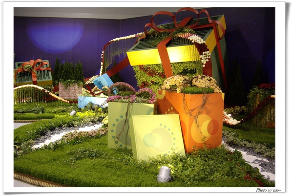 IMGP4148(001).jpg IMGP4148(001).jpg