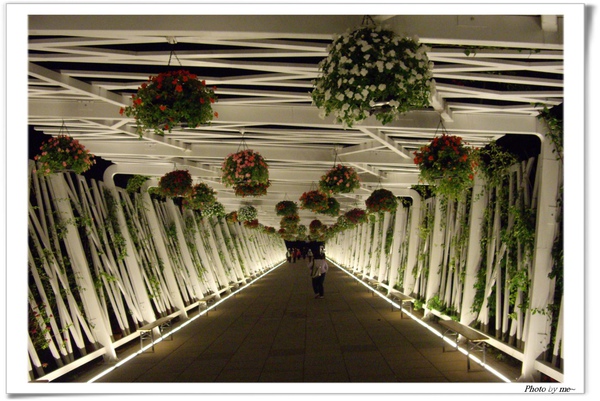 IMGP4230(001).jpg IMGP4230(001).jpg